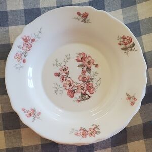 ARC Arcopal France 8.75" Salad, Pasta Bowl with Pink Floral, Set Of 2